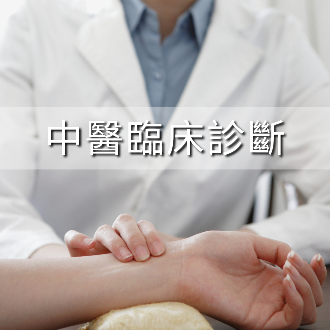 全科牙科服務
