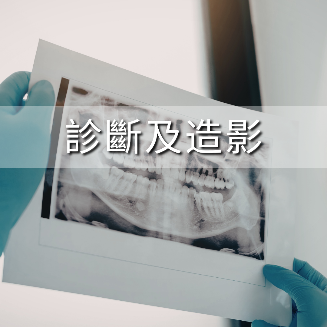 全科牙科服務